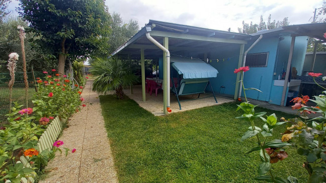 Terreno Agricolo (con / Senza Piccolo Prefabbricato) in Vendita a Colli del Tronto