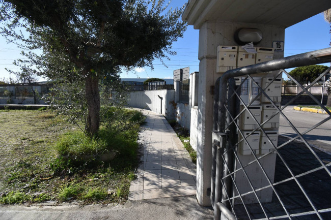 Appartamento in affitto a San Benedetto del Tronto