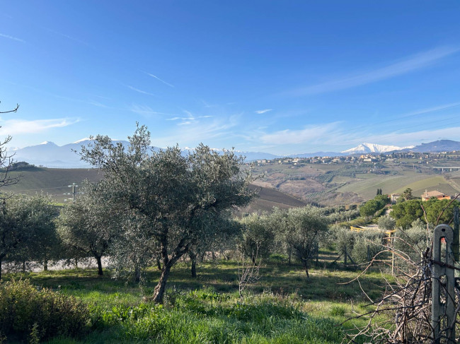 Appartamento in vendita a Offida