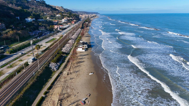 Terreno Agricolo (con / Senza Piccolo Prefabbricato) in vendita a Cupra Marittima