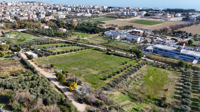 Terreno Agricolo (con / Senza Piccolo Prefabbricato) in vendita a San Benedetto del Tronto