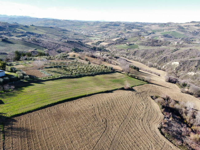 Terreno Agricolo (con / Senza Piccolo Prefabbricato) in Vendita a Ripatransone
