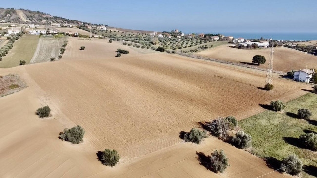 Casale Colonico Rustico in vendita a Colonnella