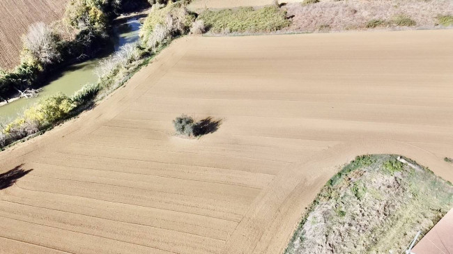 Casale Colonico Rustico in vendita a Colonnella