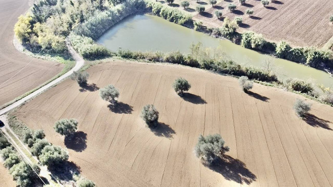 Casale Colonico Rustico in vendita a Colonnella