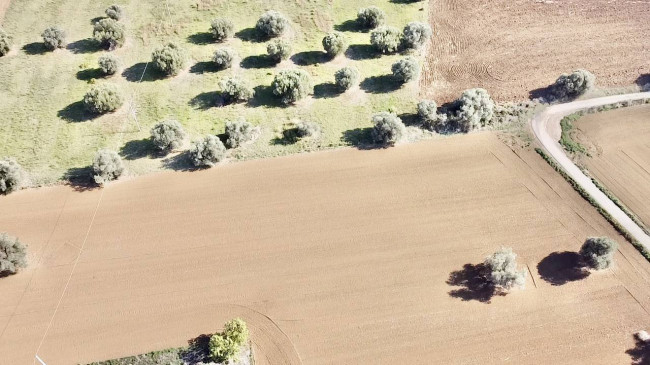 Casale Colonico Rustico in vendita a Colonnella