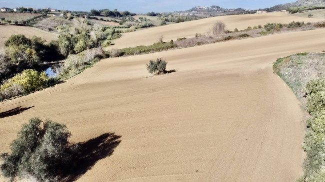 Casale Colonico Rustico in vendita a Colonnella