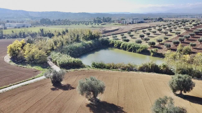 Casale Colonico Rustico in vendita a Colonnella