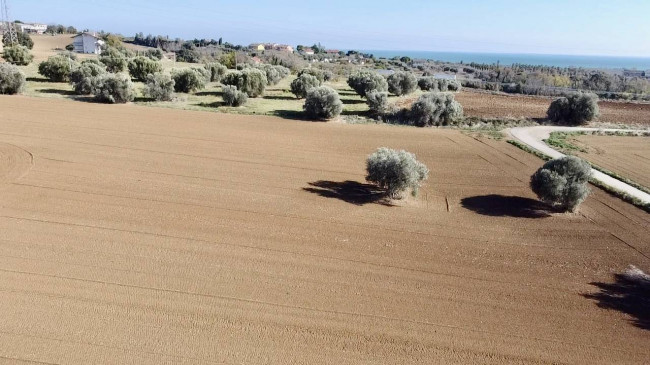 Casale Colonico Rustico in vendita a Colonnella