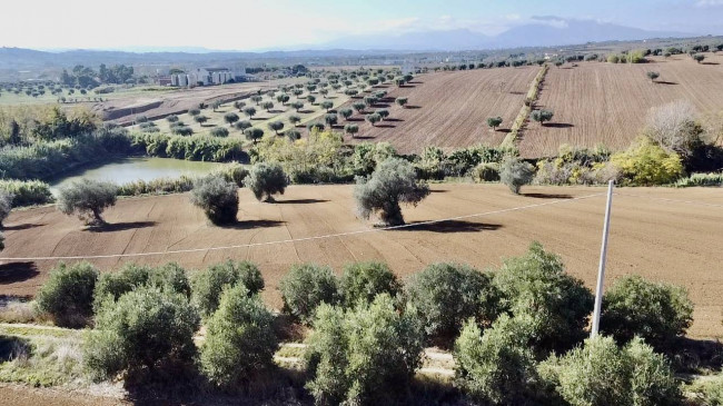 Casale Colonico Rustico in vendita a Colonnella