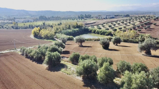 Casale Colonico Rustico in vendita a Colonnella