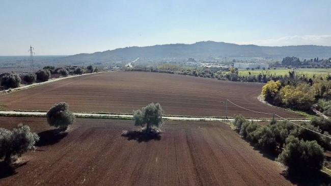 Casale Colonico Rustico in vendita a Colonnella