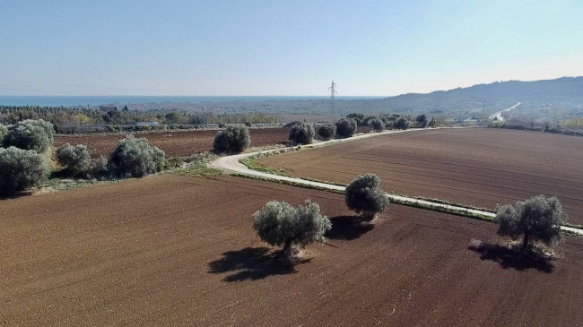 Casale Colonico Rustico in vendita a Colonnella