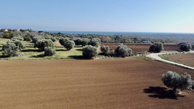 Casale Colonico Rustico in vendita a Colonnella