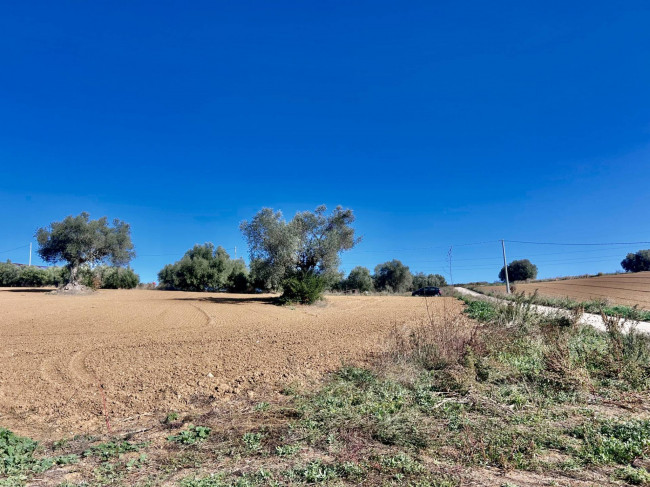 Casale Colonico Rustico in vendita a Colonnella