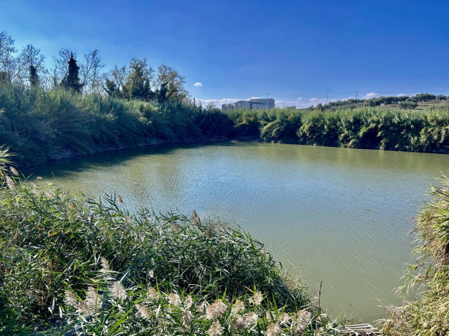 Casale Colonico Rustico in vendita a Colonnella