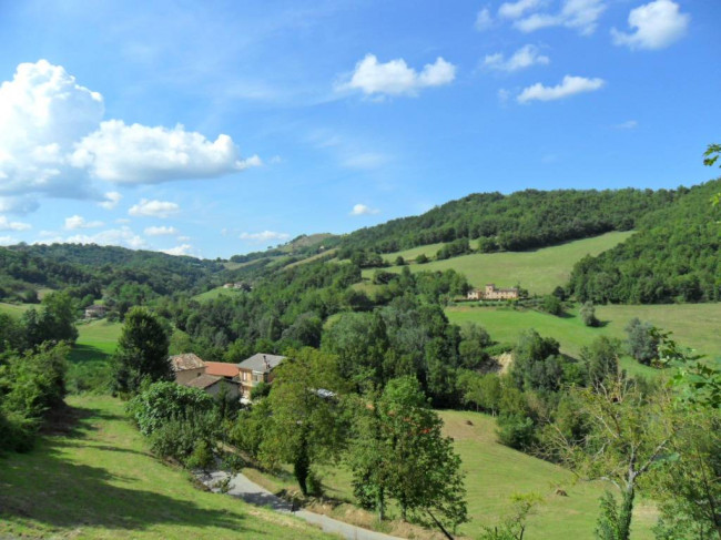 Terreno Agricolo (con / Senza Piccolo Prefabbricato) in Vendita a Amandola