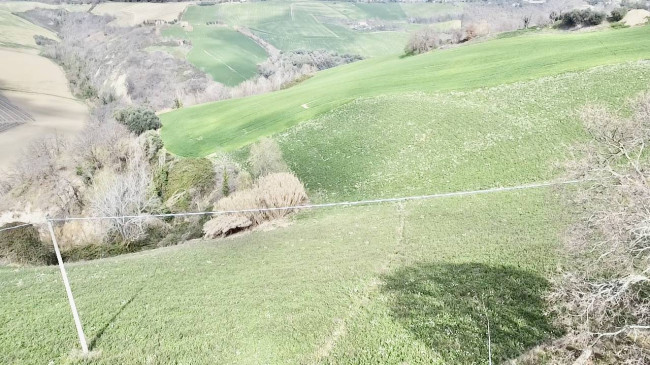 Stabile / Palazzo in vendita a Carassai