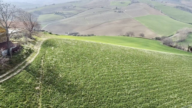Stabile / Palazzo in vendita a Carassai