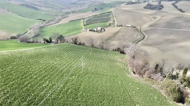 Stabile / Palazzo in vendita a Carassai