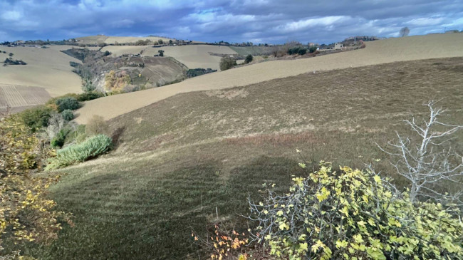 Stabile / Palazzo in vendita a Carassai