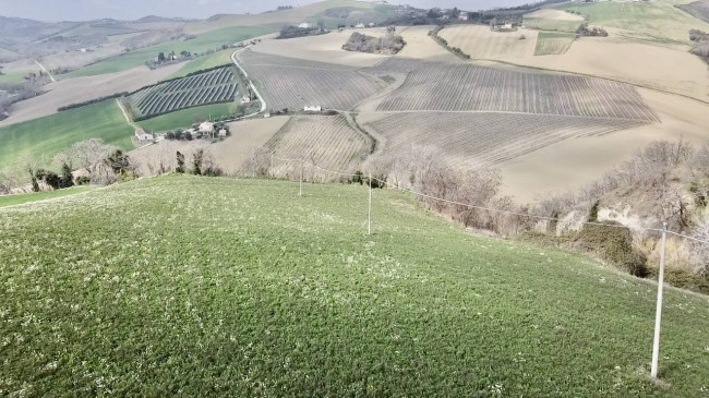 Casale Colonico Rustico in vendita a Carassai