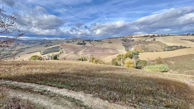 Casale Colonico Rustico in vendita a Carassai