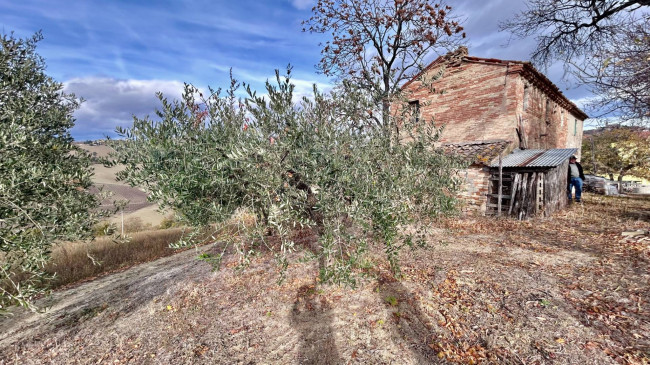 Casale Colonico Rustico in vendita a Carassai
