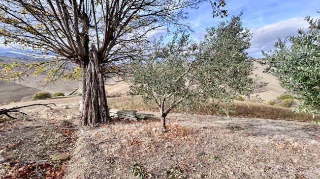 Casale Colonico Rustico in vendita a Carassai