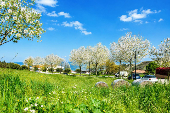 Terreno Edificabile Residenziale in vendita a Tortoreto