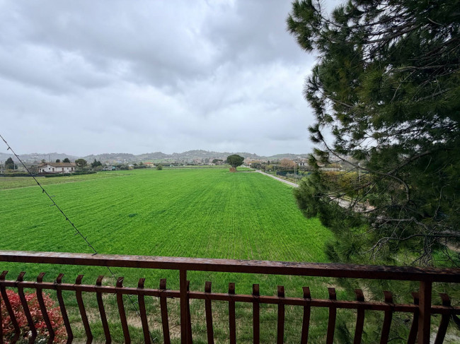 Appartamento in vendita a Monsampolo del Tronto