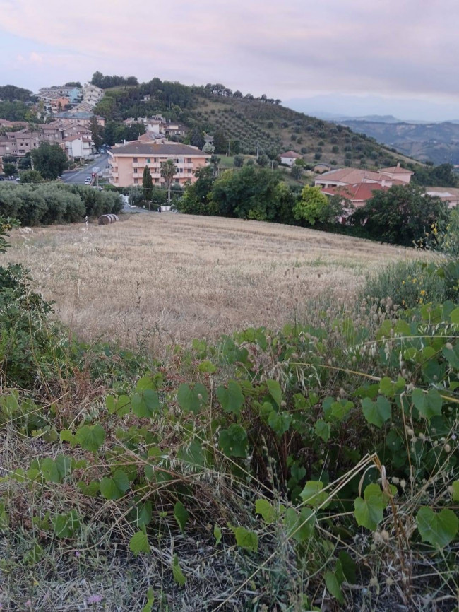 Terreno Agricolo in vendita a Tortoreto
