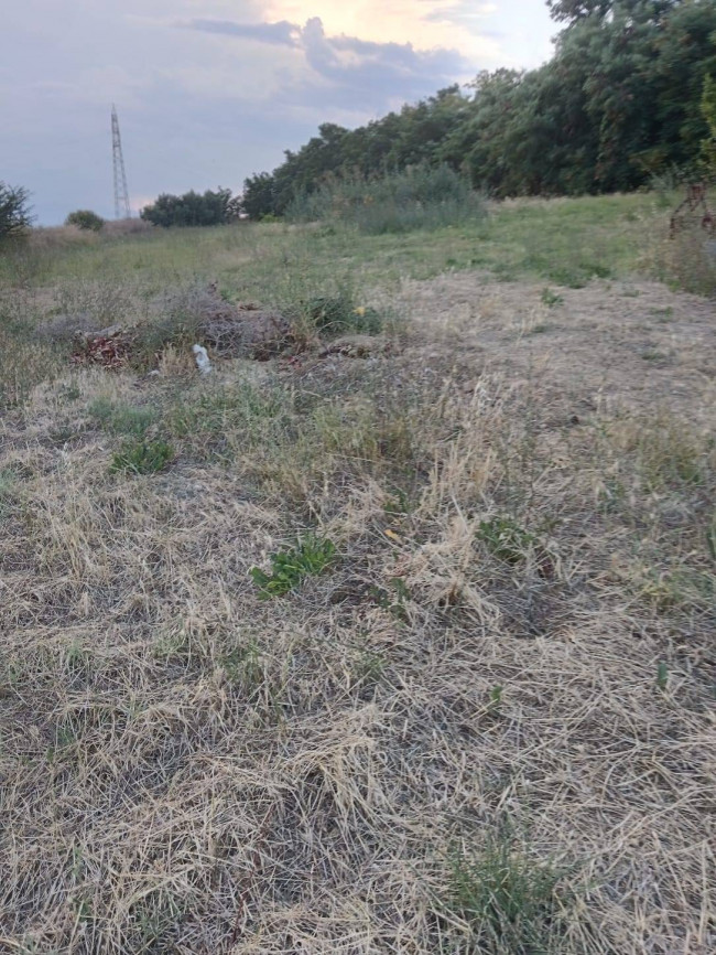 Terreno Agricolo in vendita a Tortoreto