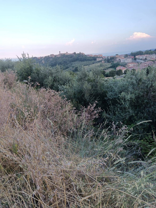 Terreno Agricolo in vendita a Tortoreto