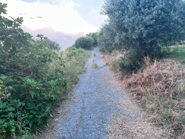 Terreno Agricolo in vendita a Tortoreto