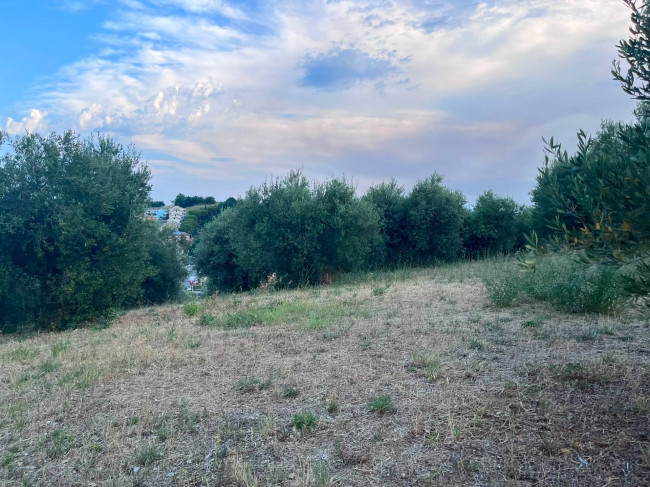 Terreno Agricolo in vendita a Tortoreto
