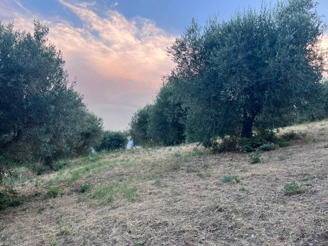 Terreno Agricolo in vendita a Tortoreto