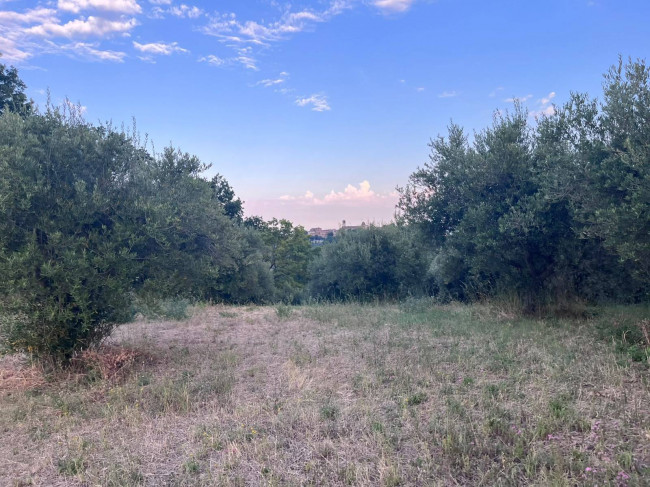 Terreno Agricolo in vendita a Tortoreto