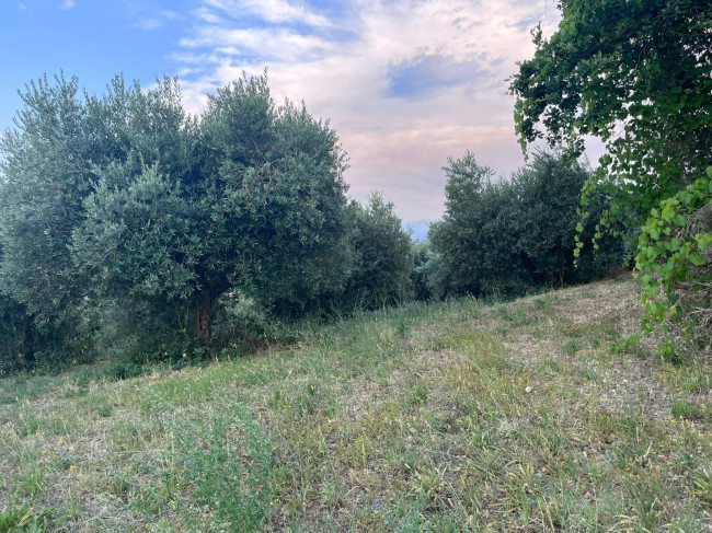 Terreno Agricolo in vendita a Tortoreto