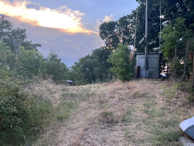 Terreno Agricolo in vendita a Tortoreto