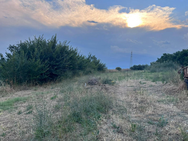 Terreno Agricolo in vendita a Tortoreto