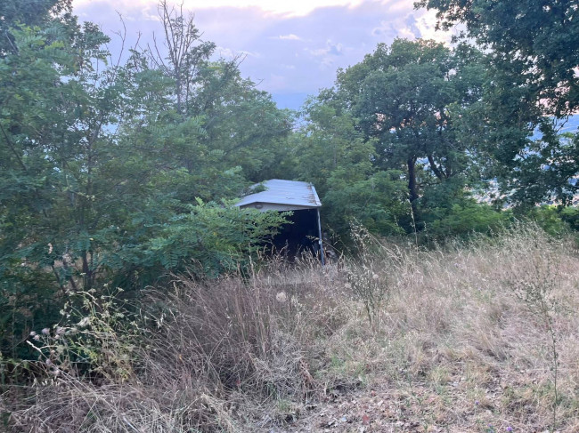 Terreno Agricolo in vendita a Tortoreto