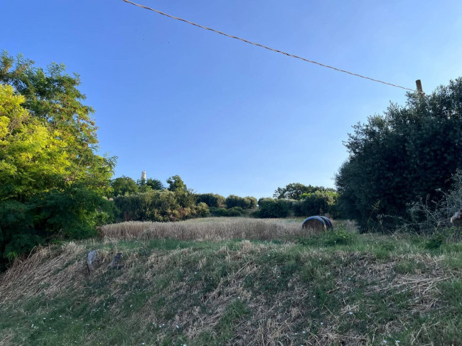 Terreno Agricolo in vendita a Tortoreto