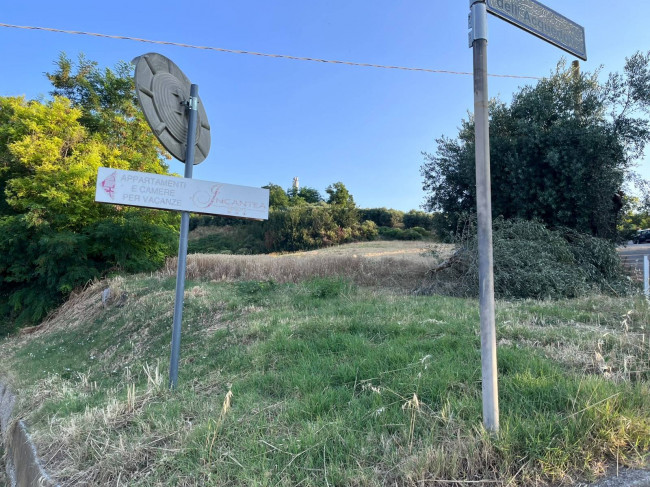 Terreno Agricolo in vendita a Tortoreto