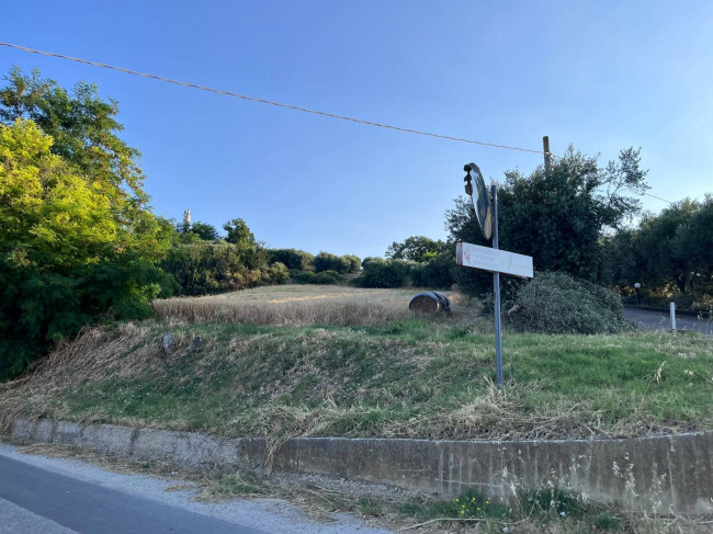 Terreno Agricolo in vendita a Tortoreto