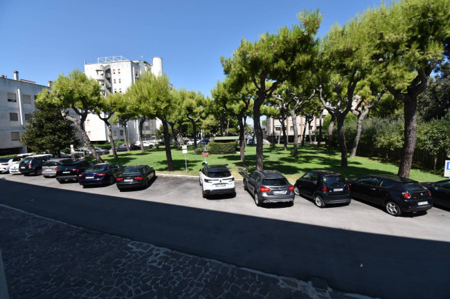 Appartamento in affitto a San Benedetto del Tronto