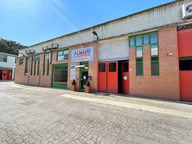 Locale Artigianale / Deposito in Vendita a Grottammare