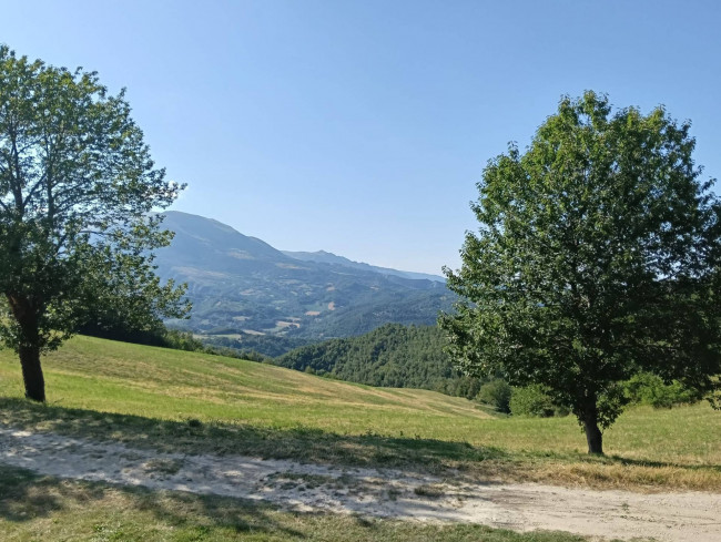 Terreno Agricolo in vendita a Montefortino