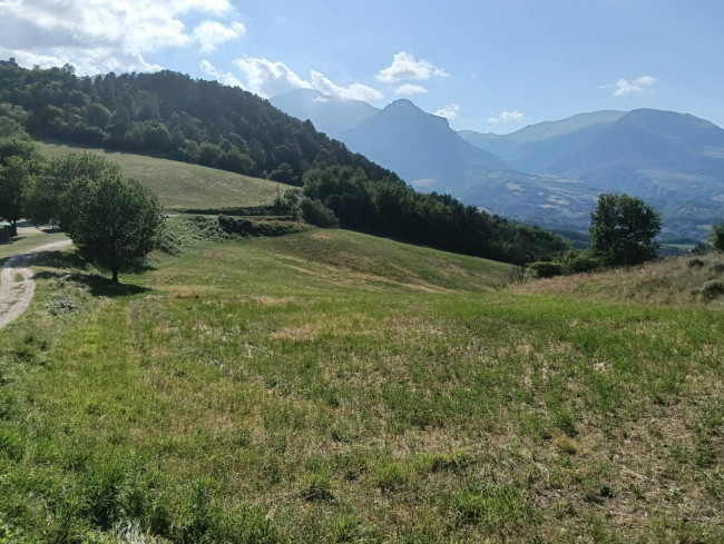 Terreno Agricolo in vendita a Montefortino