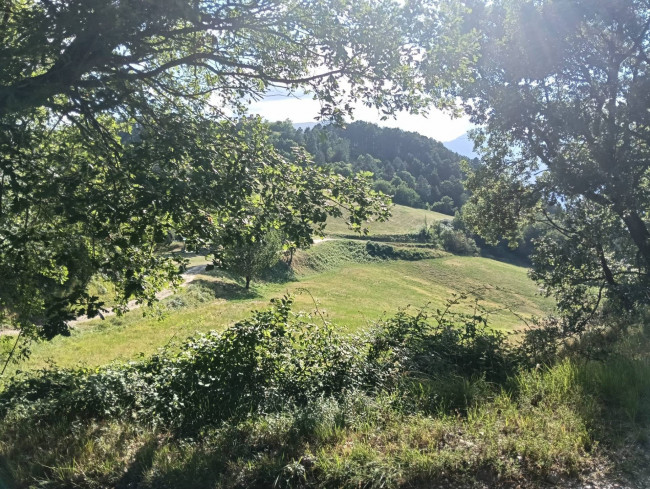 Terreno Agricolo in vendita a Montefortino